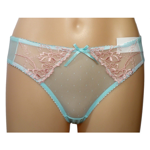 Embroidered Mesh Brief