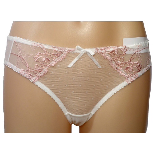 Embroidered Mesh Brief